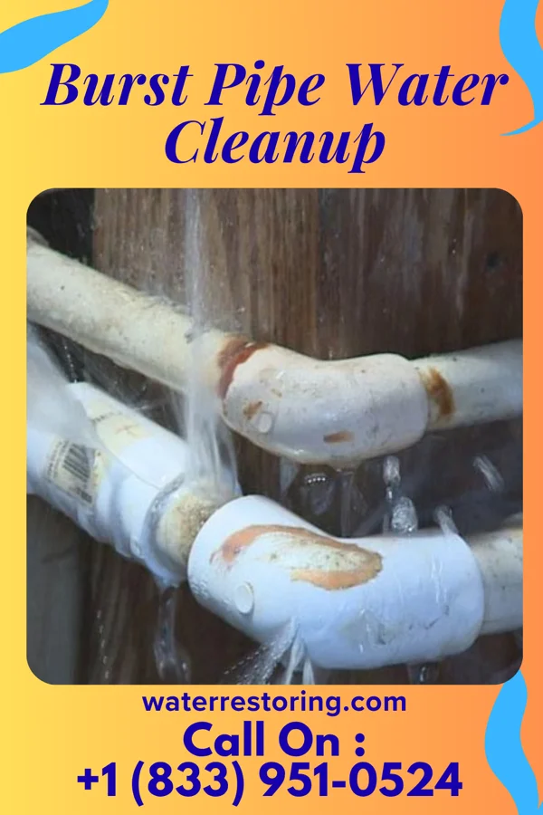 Burst Pipe Water Cleanup in Marion Center, PA