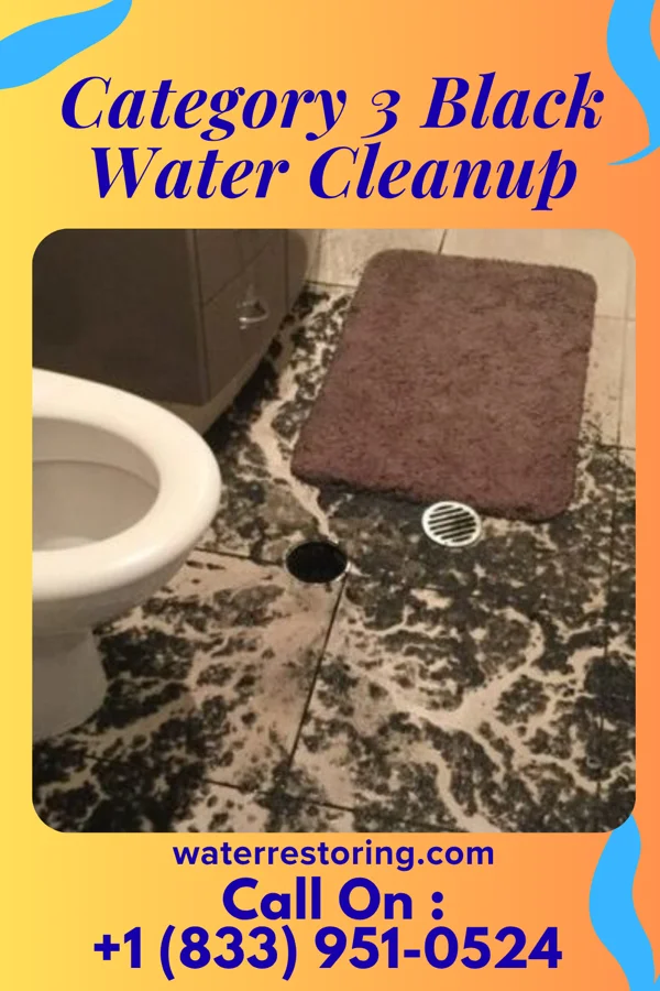 Category 3 Black Water Cleanup in Marion Center, PA