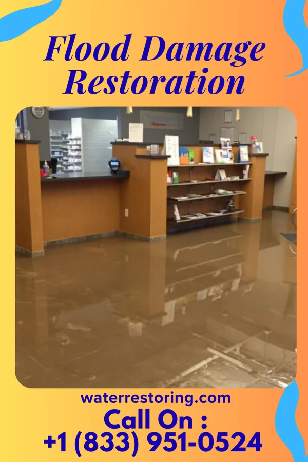 Flood Damage Restoration in Marion Center, PA