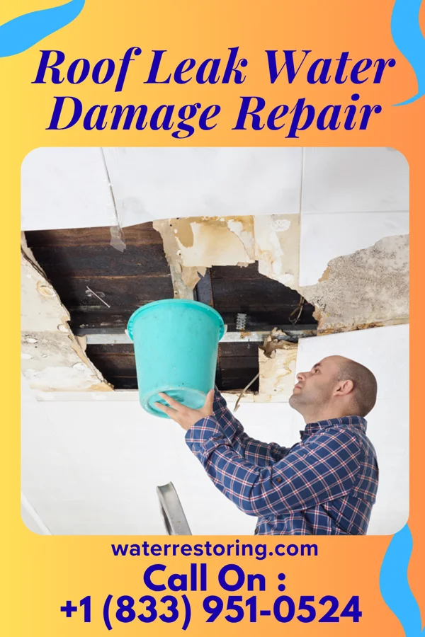 Roof Leak Water Damage Repair in Marion Center, PA
