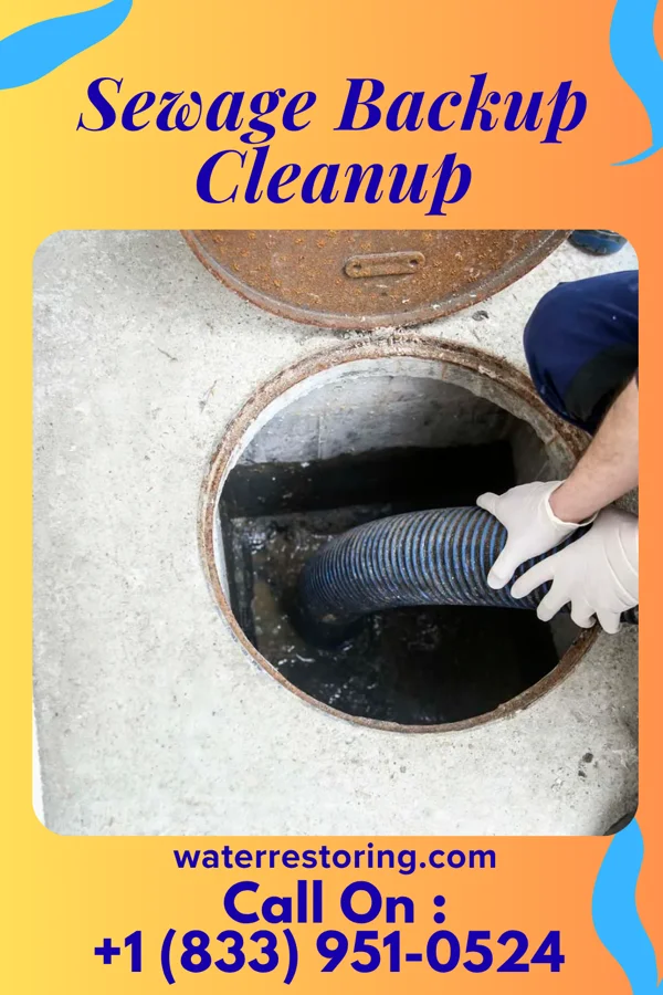 Sewage Backup Cleanup in Marion Center, PA