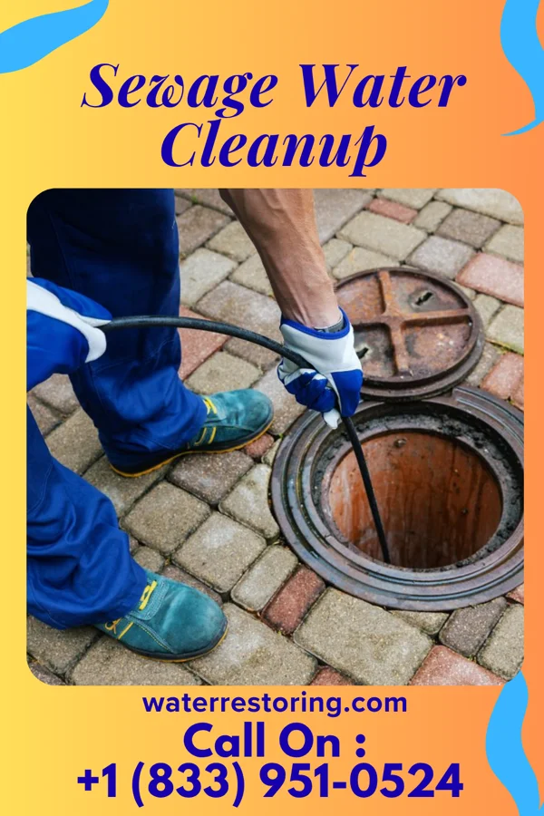 Sewage Water Cleanup in Marion Center, PA