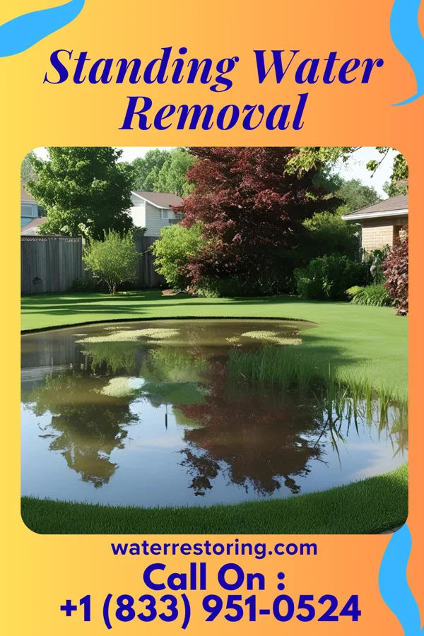 Standing Water Removal in Marion Center, PA